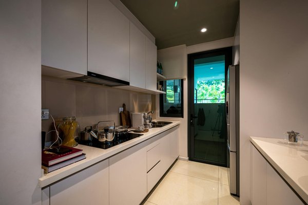 Panneau contreplaqué : qualité supérieure à prix imbattables !