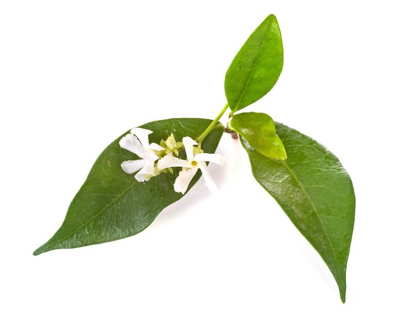 Maison natura : l'élégance des objets déco à portée de main